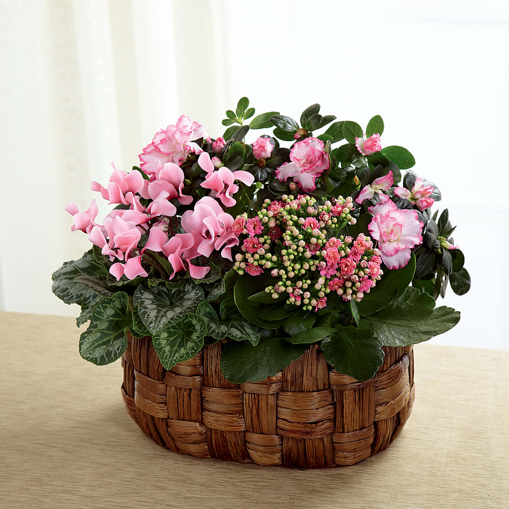 Pink Assortment – Greater Oklahoma City Flower Shop, Oklahoma City OK