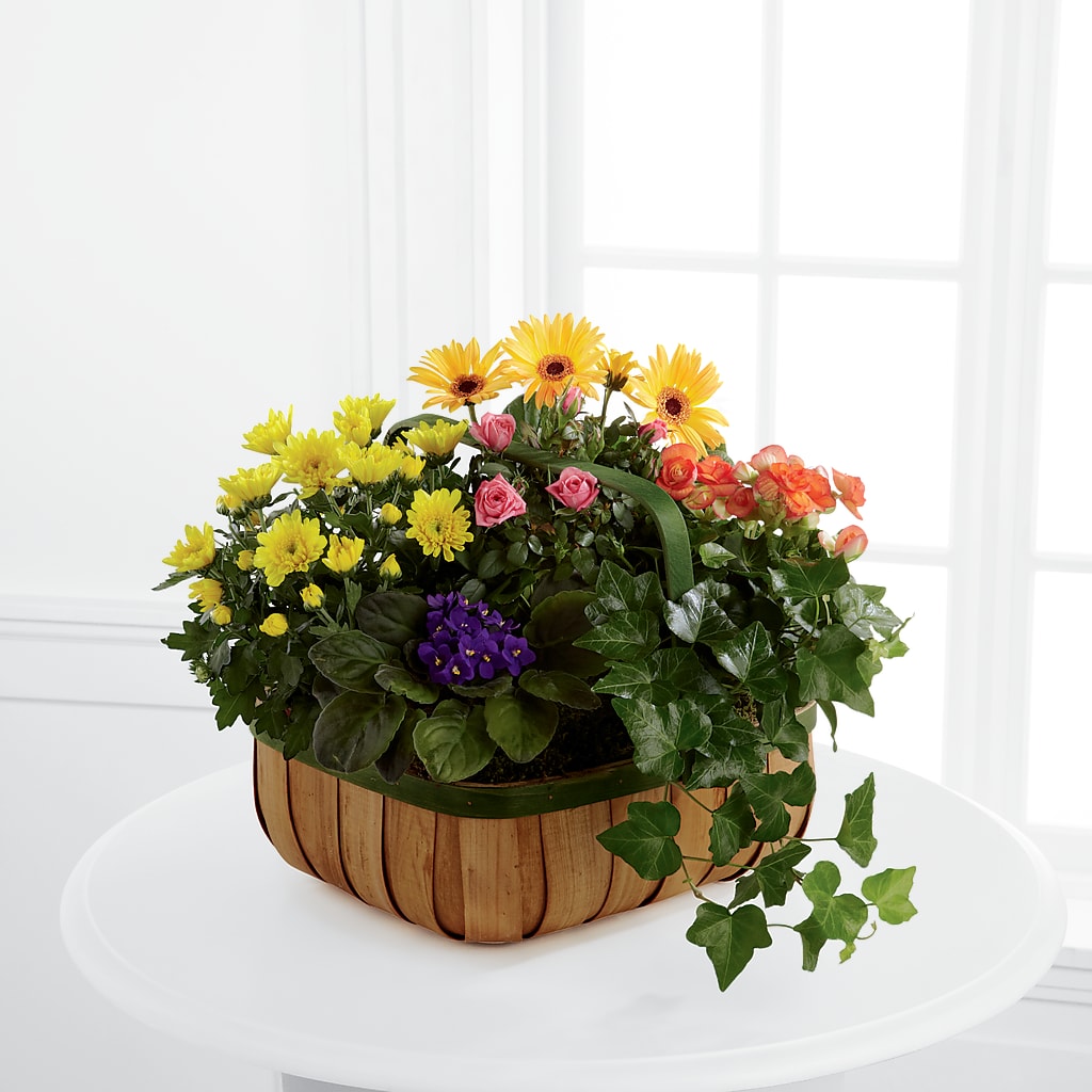 Gentle Blossoms Basket – Greater Oklahoma City Flower Shop, Oklahoma City OK