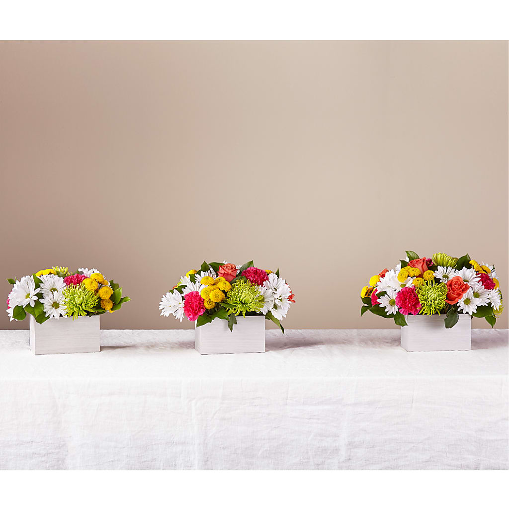 Sorbet Bouquet – Greater Oklahoma City Flower Shop, Oklahoma City OK