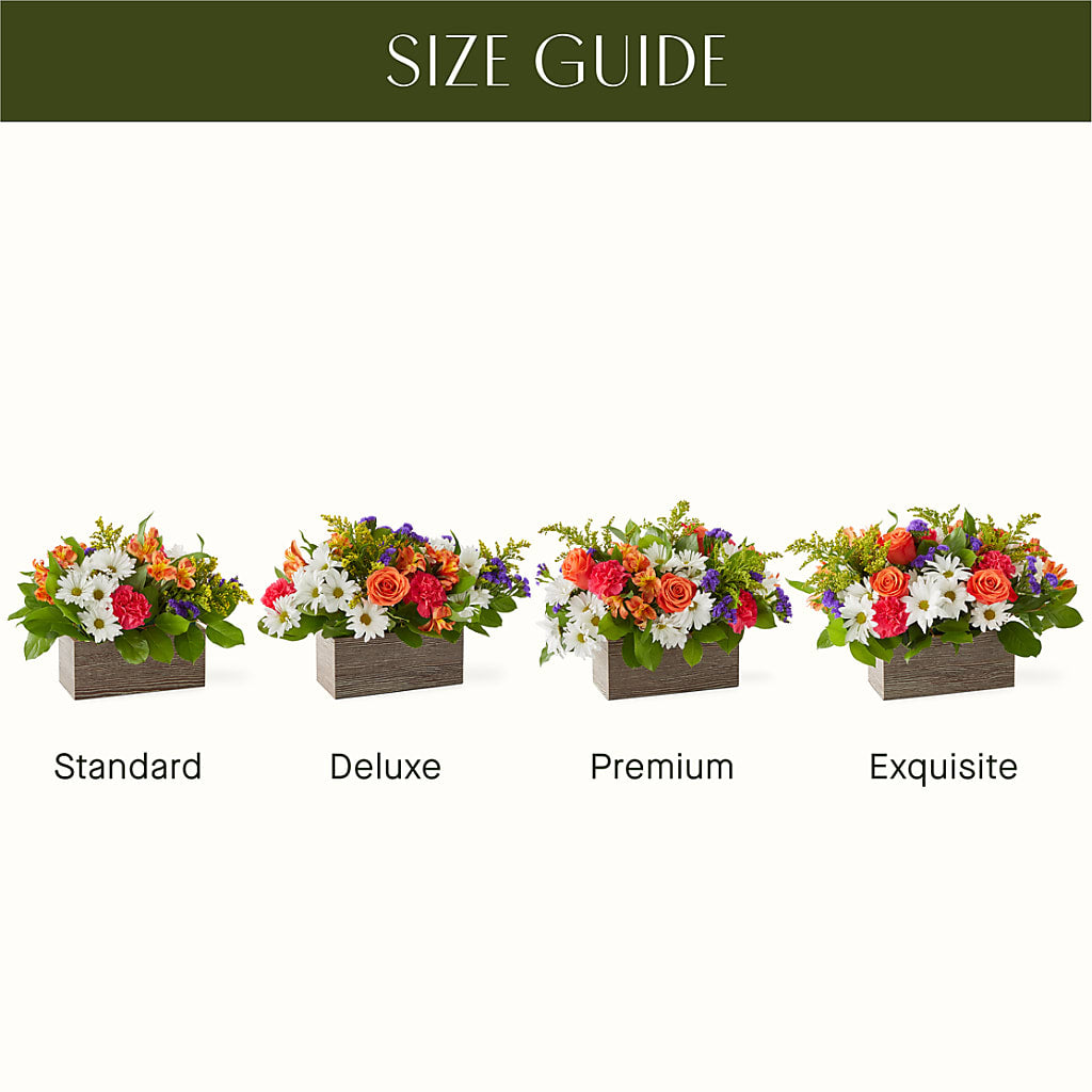 Oopsie Daisy Box Bouquet – Greater Oklahoma City Flower Shop, Oklahoma City OK