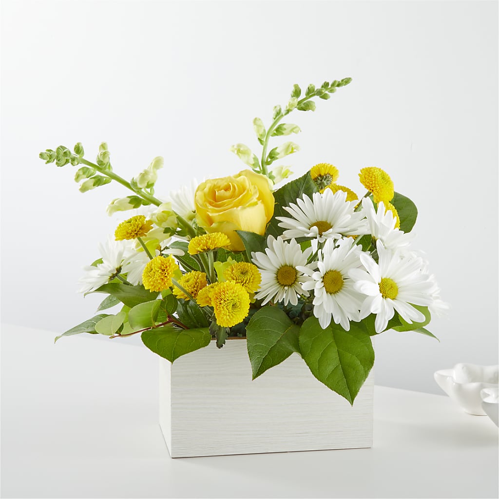 Sun Salutation Box Bouquet – Greater Oklahoma City Flower Shop, Oklahoma City OK