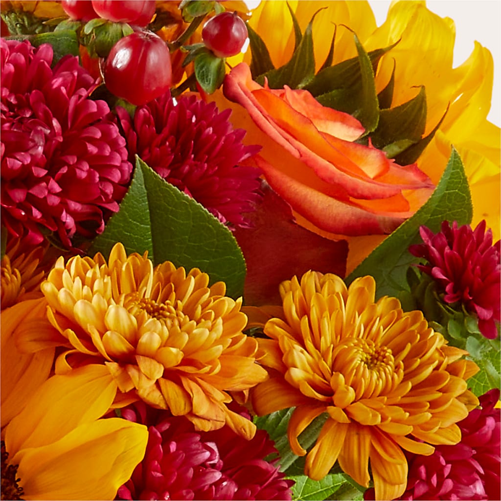 Sweater Season - A Florist Original – Greater Oklahoma City Flower Shop, Oklahoma City OK