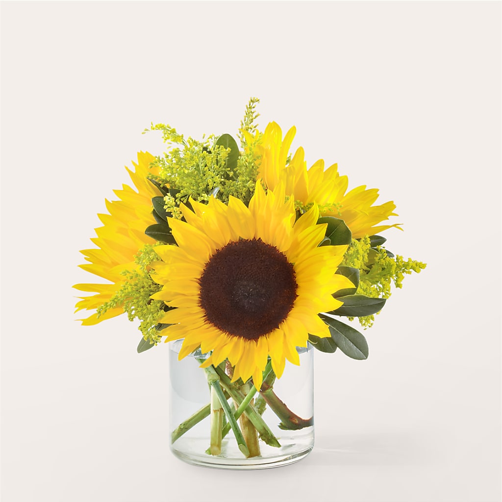 Beaming Sunflower Bouquet – Greater Oklahoma City Flower Shop, Oklahoma City OK