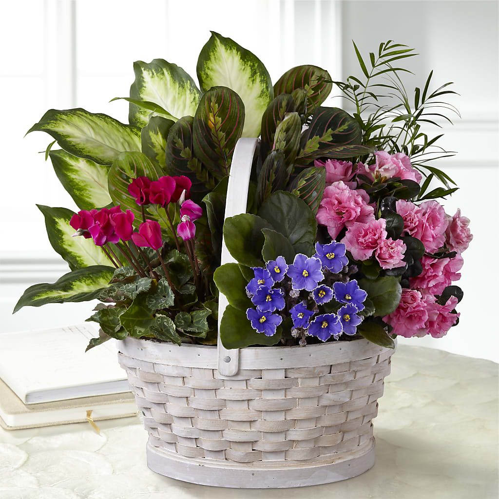 Peaceful Garden Planter – Greater Oklahoma City Flower Shop, Oklahoma City OK