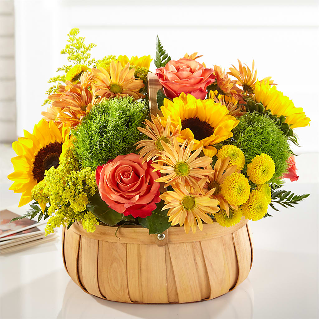 Harvest Sunflower Basket – Greater Oklahoma City Flower Shop, Oklahoma City OK