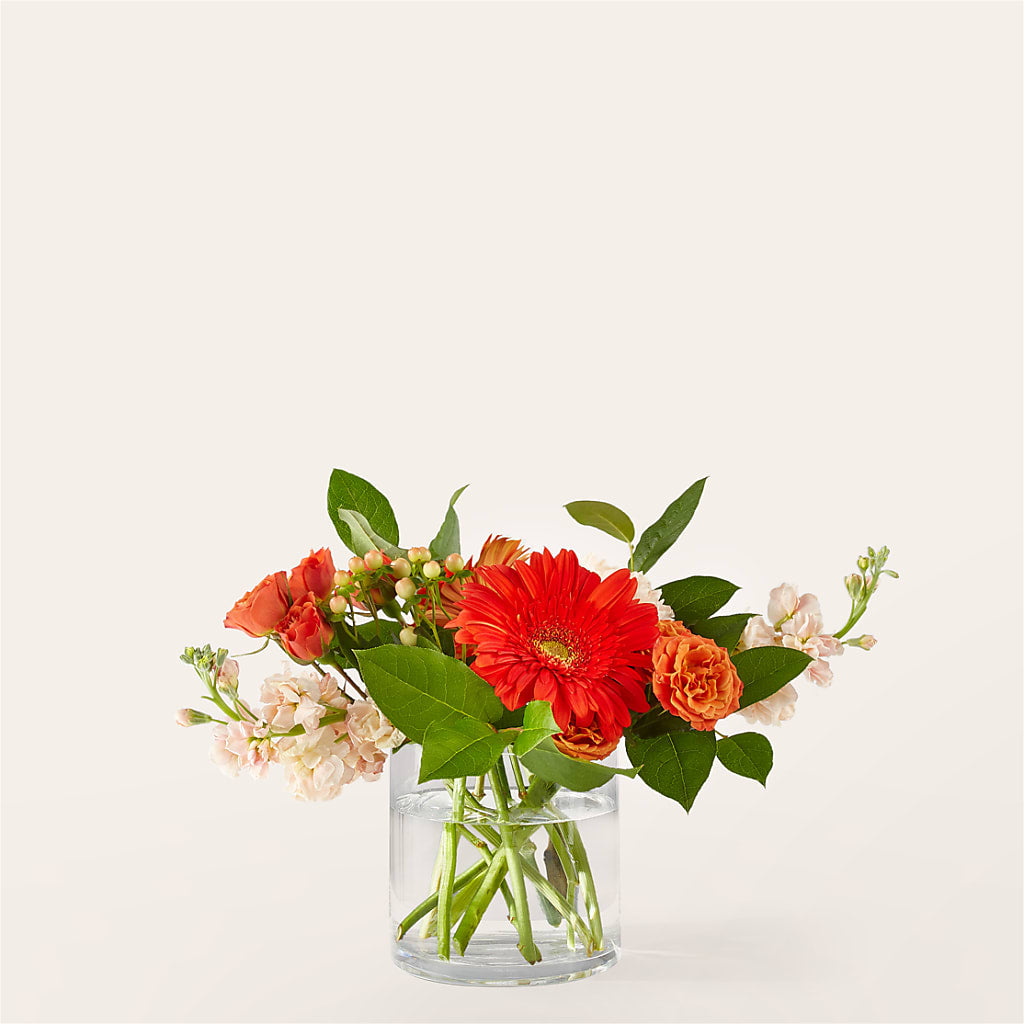 Paloma Please Bouquet – Greater Oklahoma City Flower Shop, Oklahoma City OK