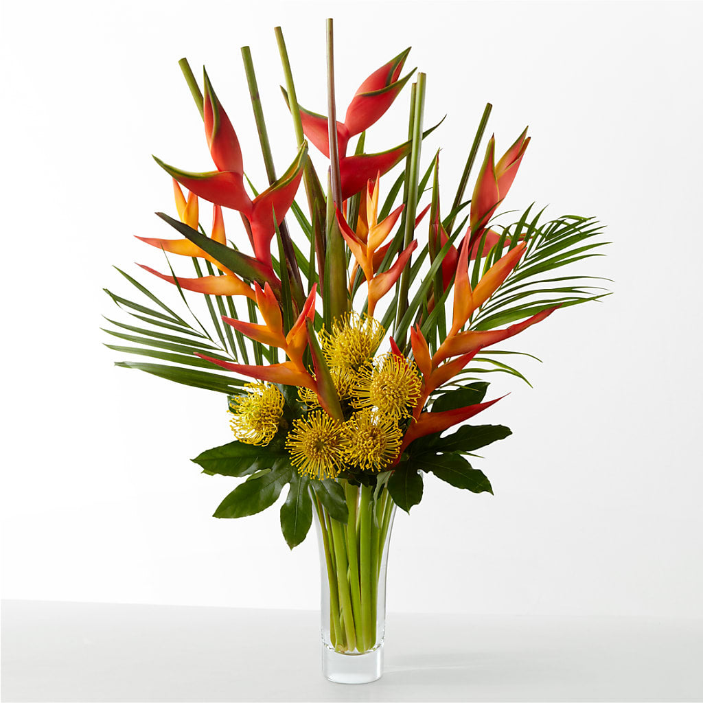 The Drama – Greater Oklahoma City Flower Shop, Oklahoma City OK
