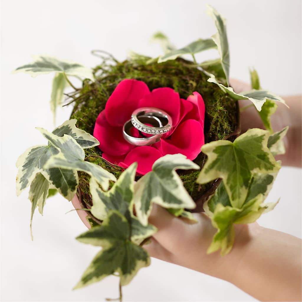 Lila Rose Ring Nest – Greater Oklahoma City Flower Shop, Oklahoma City OK