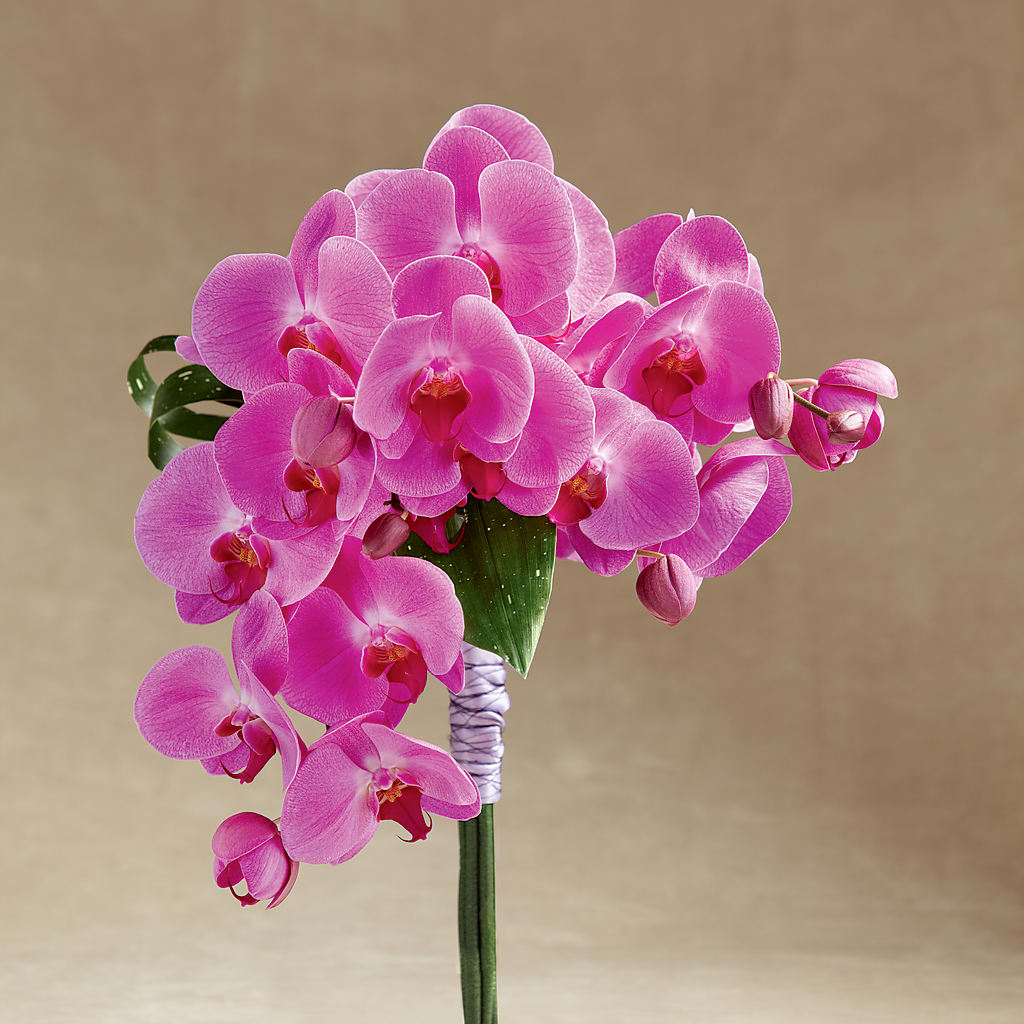 Glorious Bouquet – Greater Oklahoma City Flower Shop, Oklahoma City OK