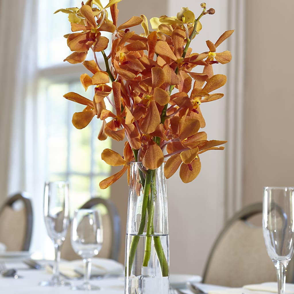 Orange Mokara Bud Vase – Greater Oklahoma City Flower Shop, Oklahoma City OK