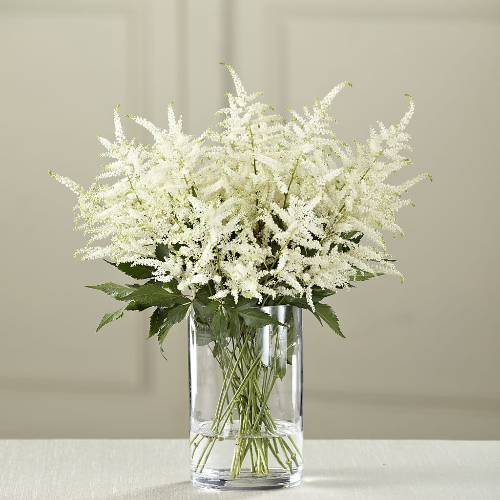 White Astilbe Bouquet – Greater Oklahoma City Flower Shop, Oklahoma City OK