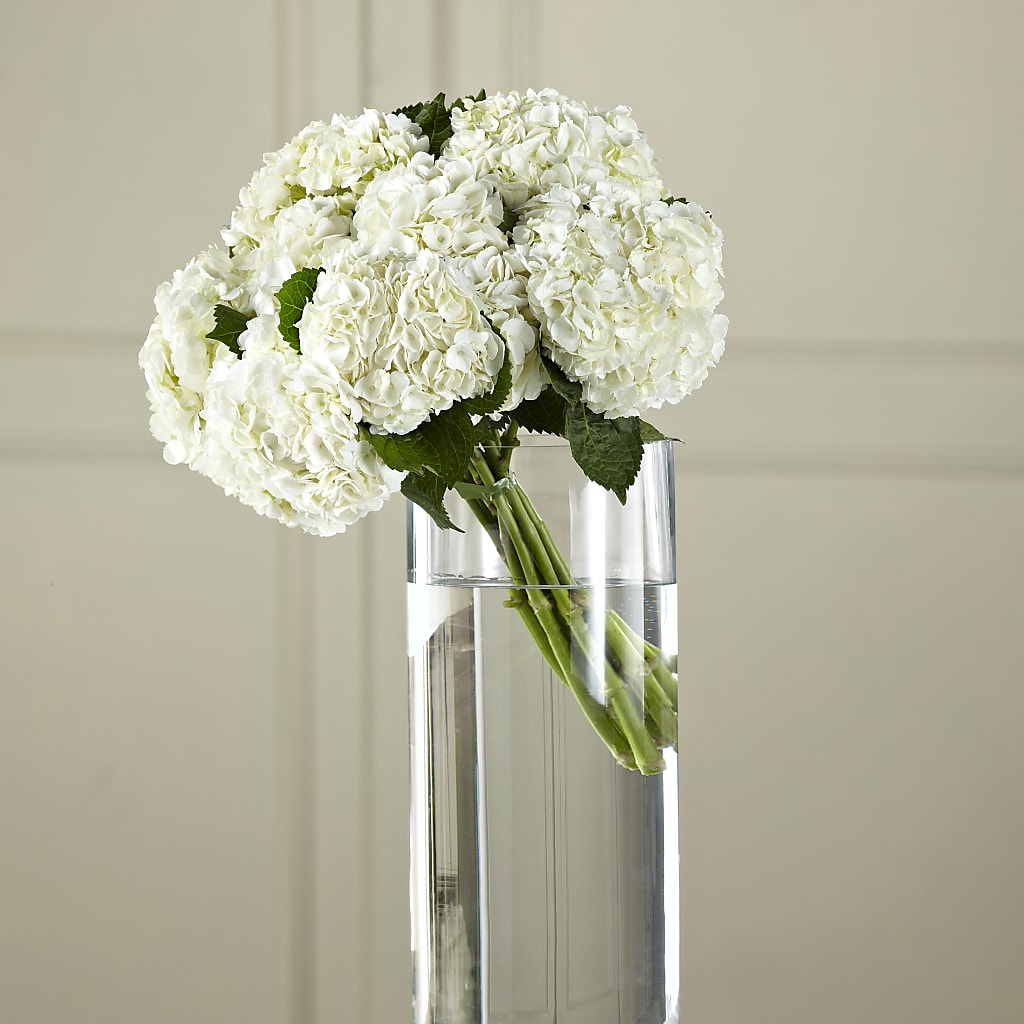 White Hydrangea Hand-Tied Bouquet – Greater Oklahoma City Flower Shop, Oklahoma City OK