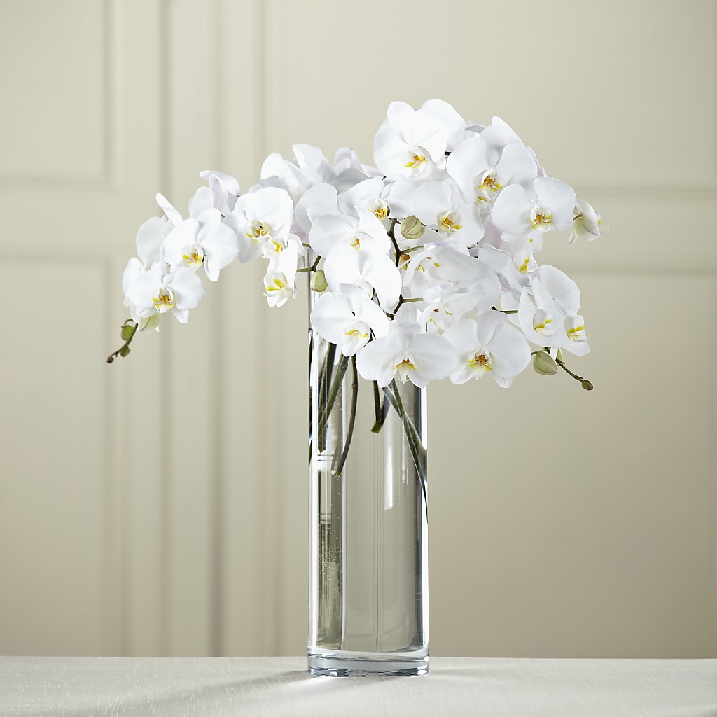 White Phalaenopsis Bouquet – Greater Oklahoma City Flower Shop, Oklahoma City OK