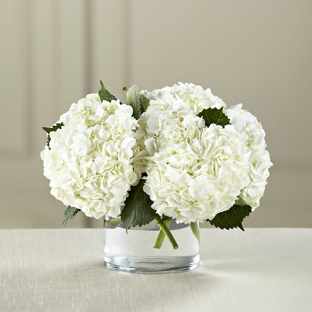 White Hydrangea Bouquet – Greater Oklahoma City Flower Shop, Oklahoma City OK