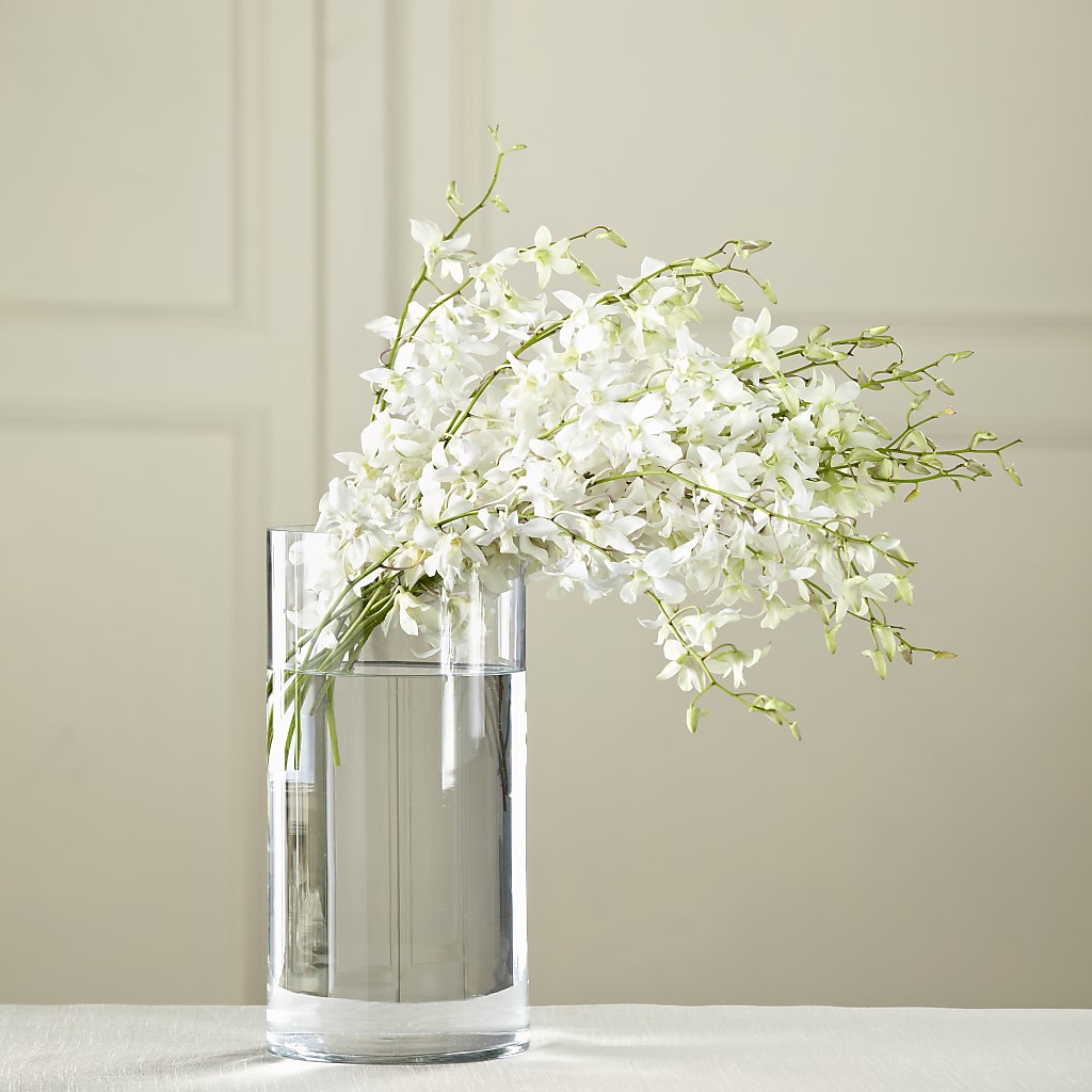 White Dendrobium Bouquet – Greater Oklahoma City Flower Shop, Oklahoma City OK
