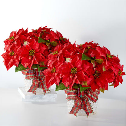 Happiest Holidays Poinsettia Bundle –  Greater Oklahoma City Flower Shop, Oklahoma City OK