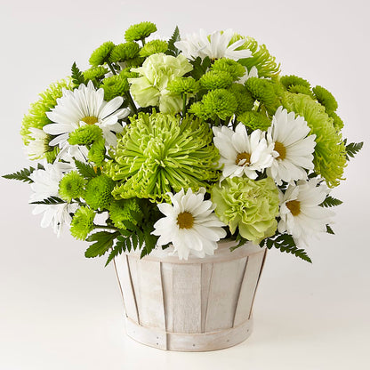 Lucky Charm Basket (Standard) –  Greater Oklahoma City Flower Shop, Oklahoma City OK