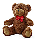 Adorable Plush Bear –  Greater Oklahoma City Flower Shop, Oklahoma City OK
