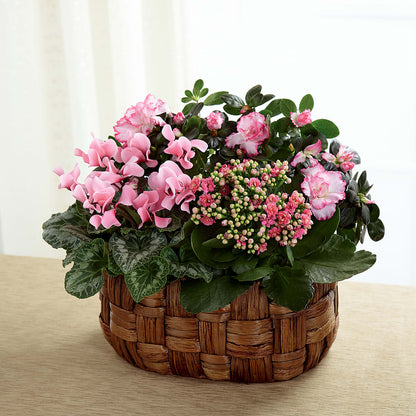 Pink Assortment –  Greater Oklahoma City Flower Shop, Oklahoma City OK