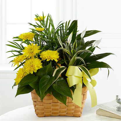 Loving Light Dishgarden –  Greater Oklahoma City Flower Shop, Oklahoma City OK