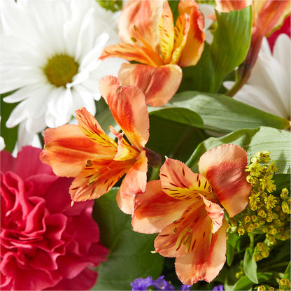 Oopsie Daisy Box Bouquet –  Greater Oklahoma City Flower Shop, Oklahoma City OK