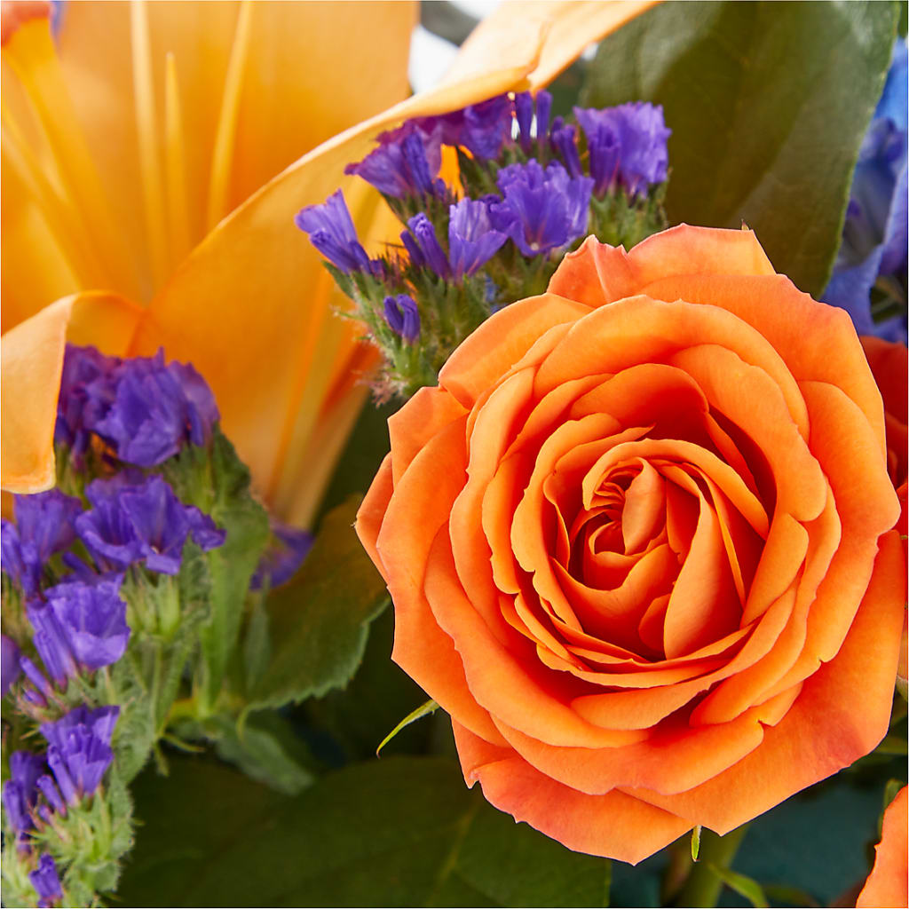 Radiant Citrus Box Bouquet –  Greater Oklahoma City Flower Shop, Oklahoma City OK