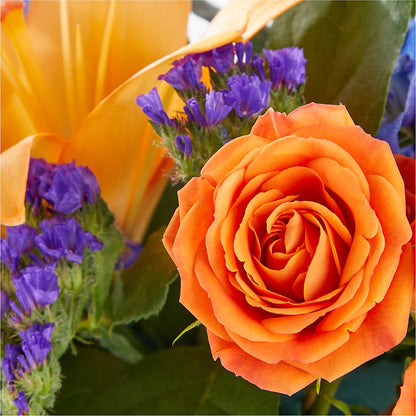 Radiant Citrus Box Bouquet –  Greater Oklahoma City Flower Shop, Oklahoma City OK