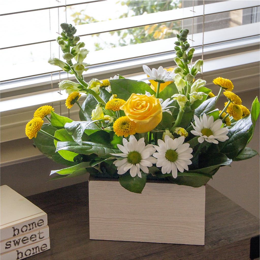 Sun Salutation Box Bouquet –  Greater Oklahoma City Flower Shop, Oklahoma City OK