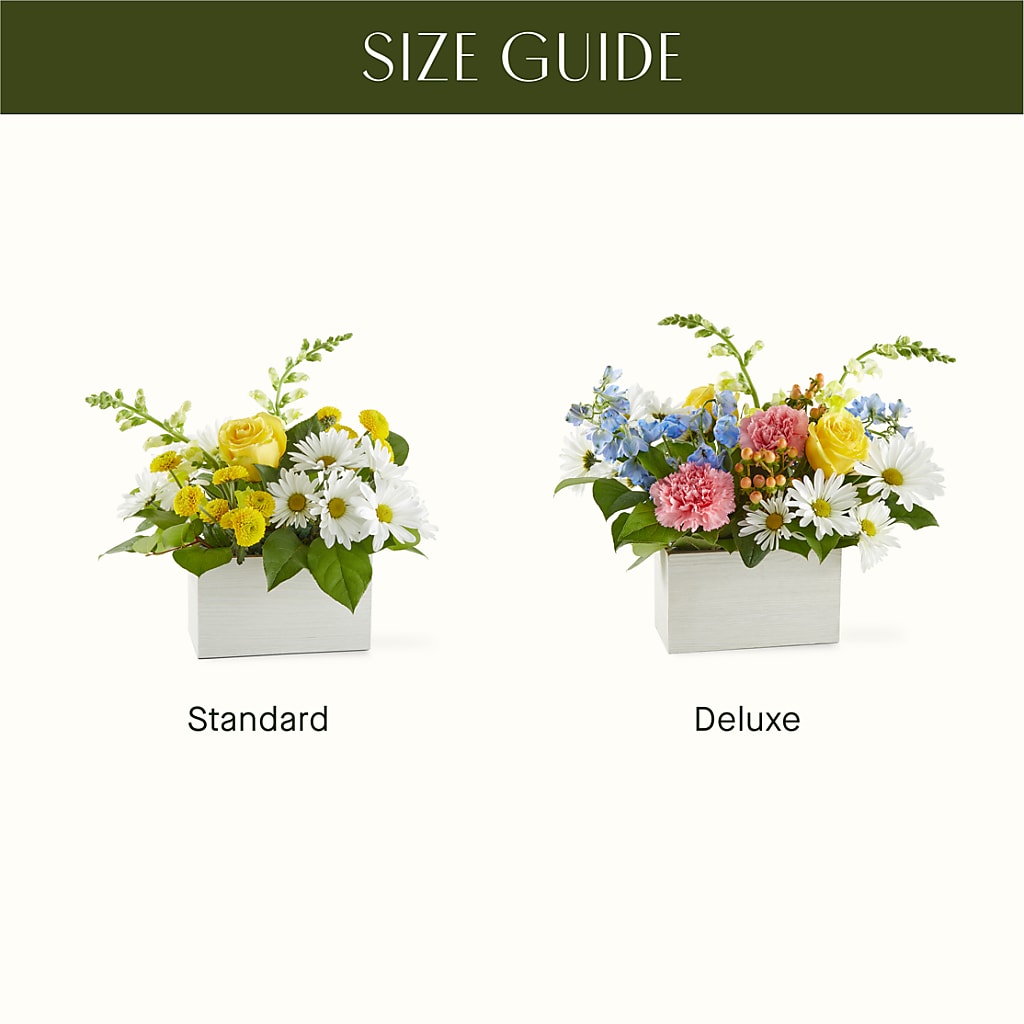 Sun Salutation Box Bouquet –  Greater Oklahoma City Flower Shop, Oklahoma City OK