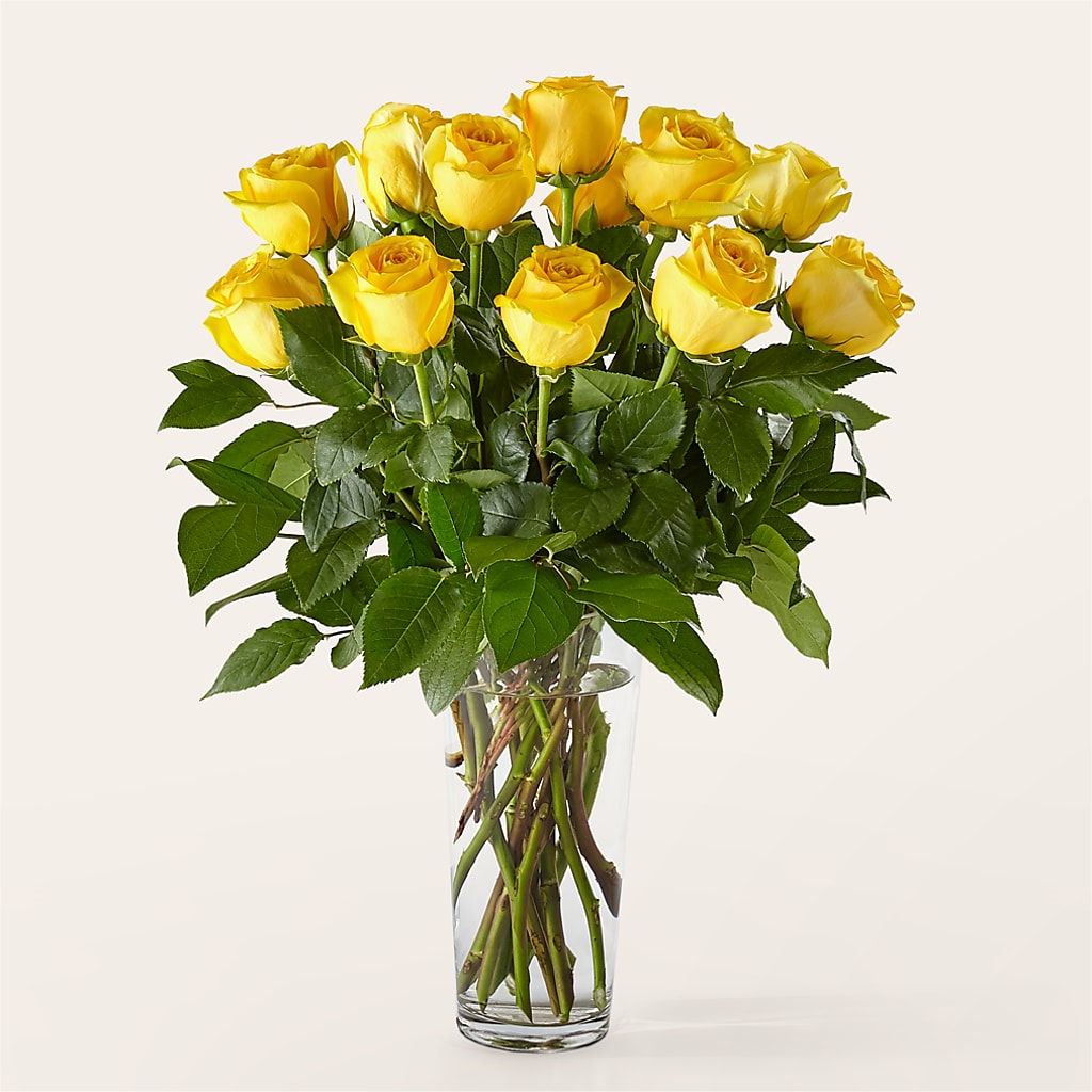 Long Stem Yellow Rose Bouquet –  Greater Oklahoma City Flower Shop, Oklahoma City OK