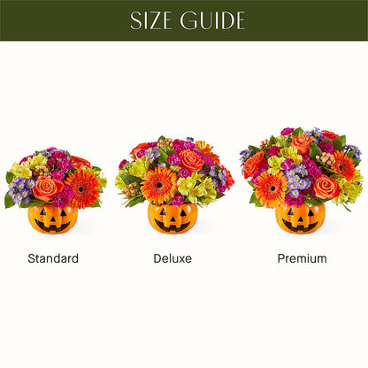 Tricks & Treats Pumpkin –  Greater Oklahoma City Flower Shop, Oklahoma City OK