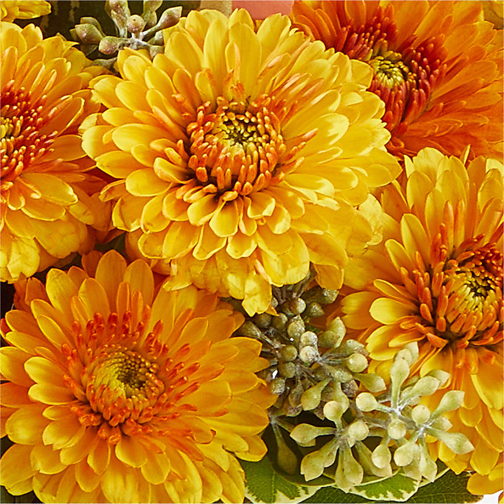 Peachy Pumpkin –  Greater Oklahoma City Flower Shop, Oklahoma City OK