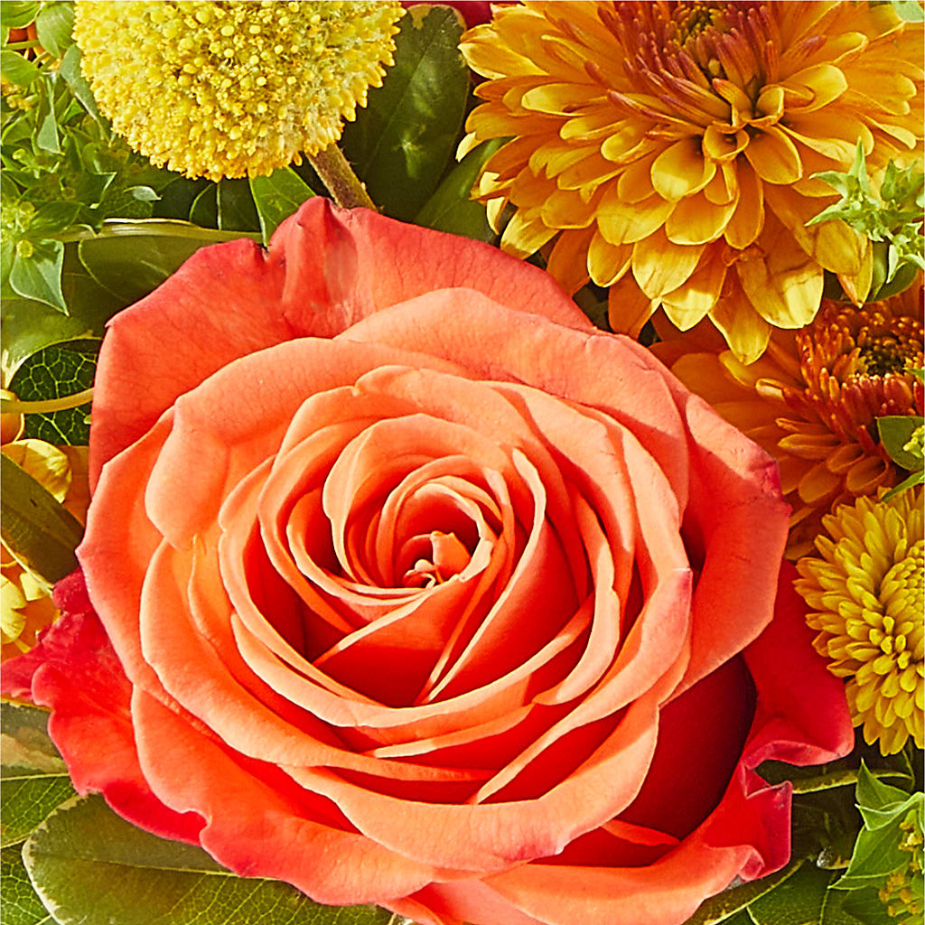 Gourdgeous Pumpkin –  Greater Oklahoma City Flower Shop, Oklahoma City OK