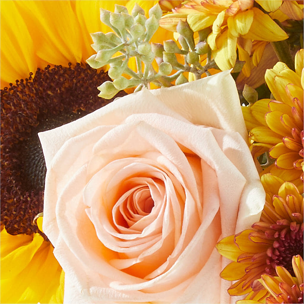 Pumpkin to Talk About Bouquet –  Greater Oklahoma City Flower Shop, Oklahoma City OK