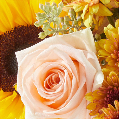 Pumpkin to Talk About Bouquet –  Greater Oklahoma City Flower Shop, Oklahoma City OK