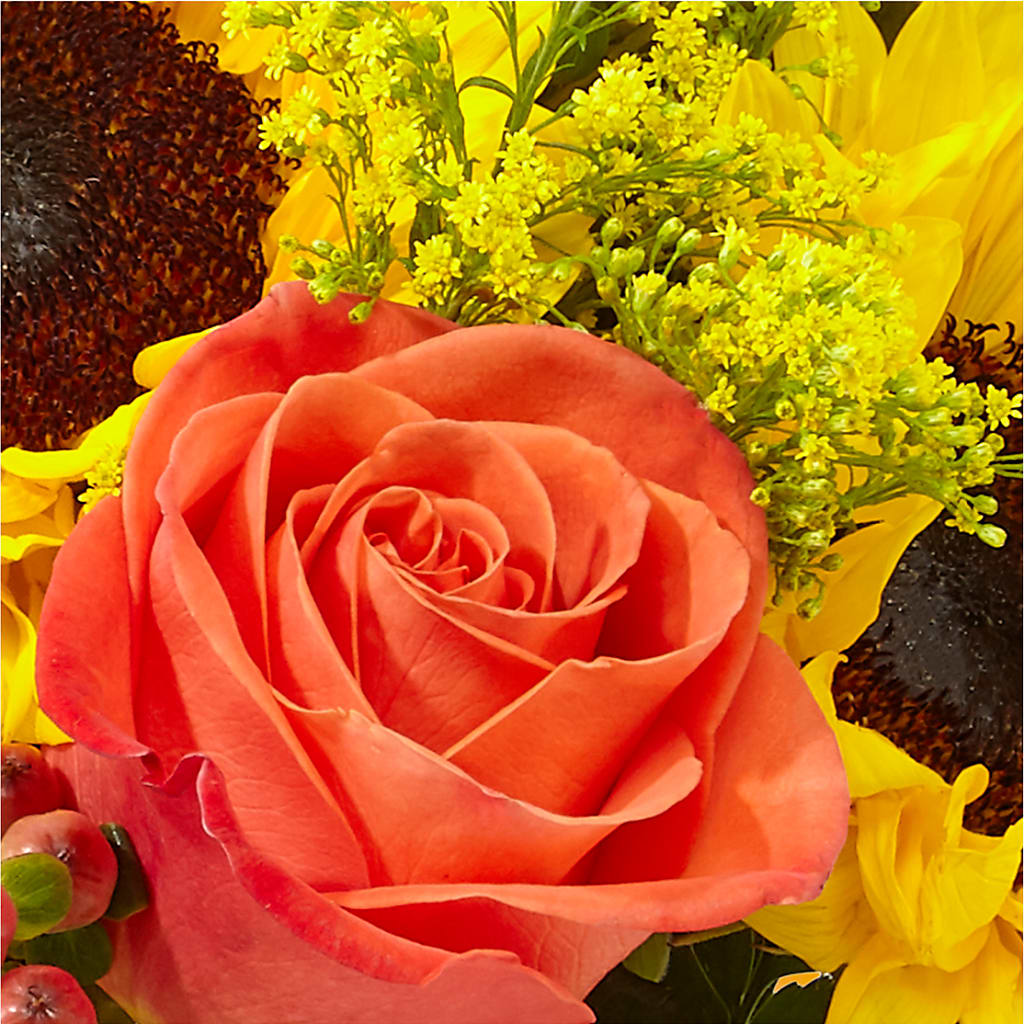 Pick of the Patch Pumpkin Bouquet –  Greater Oklahoma City Flower Shop, Oklahoma City OK