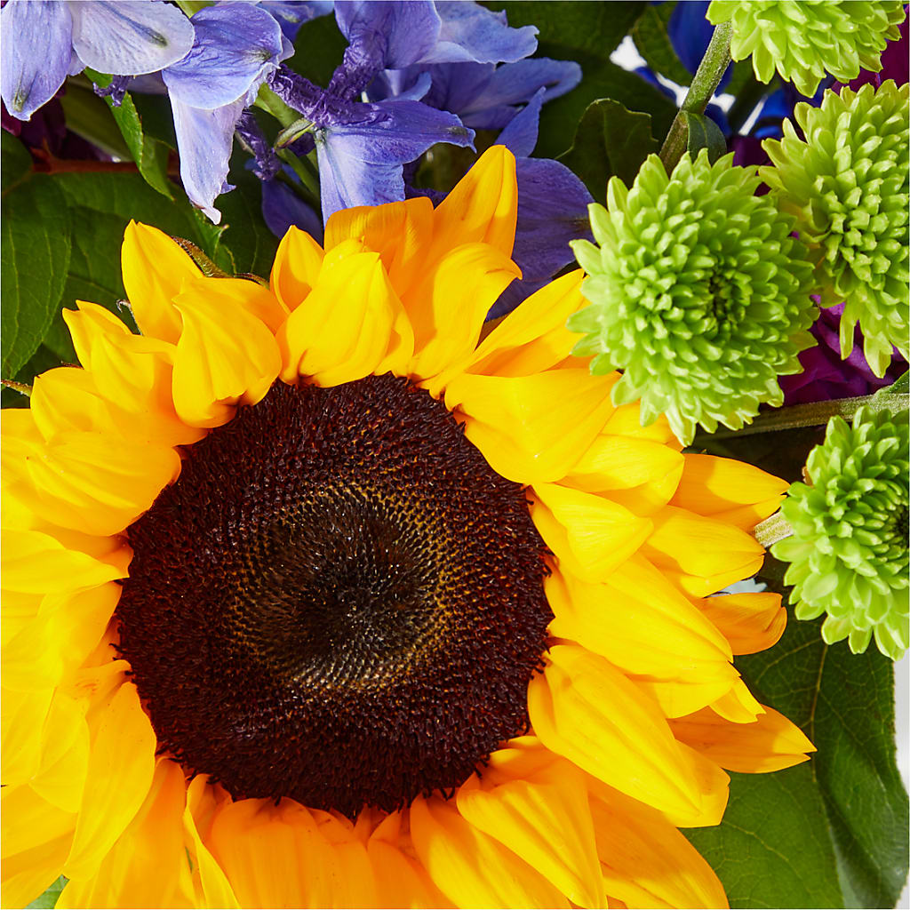 Catching Rays Bouquet –  Greater Oklahoma City Flower Shop, Oklahoma City OK