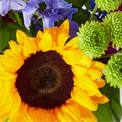 Catching Rays Bouquet –  Greater Oklahoma City Flower Shop, Oklahoma City OK