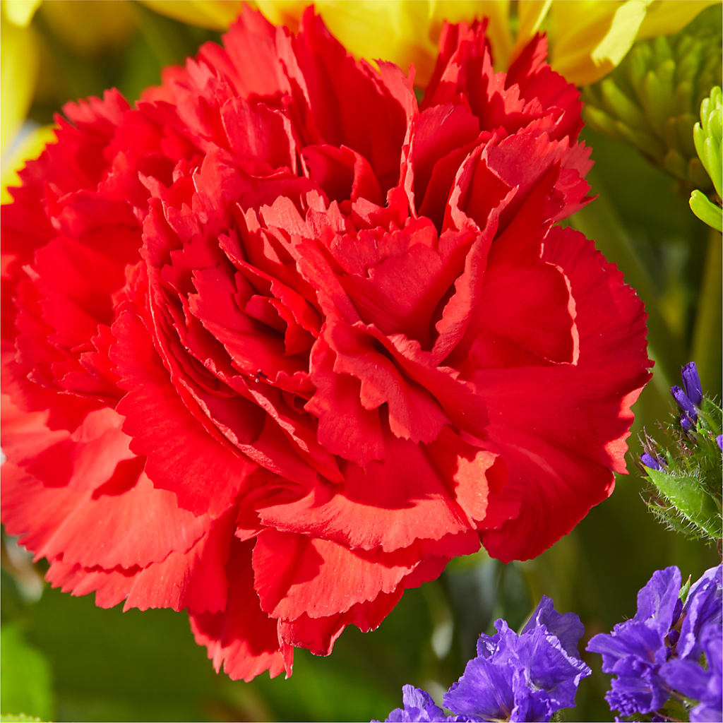 Brighter Days Bouquet –  Greater Oklahoma City Flower Shop, Oklahoma City OK
