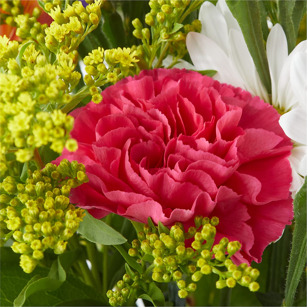 Oopsie Daisy Bouquet –  Greater Oklahoma City Flower Shop, Oklahoma City OK
