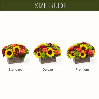 Happy Harvest Garden –  Greater Oklahoma City Flower Shop, Oklahoma City OK