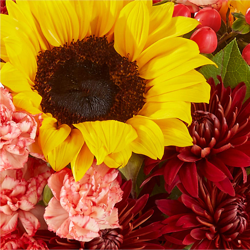 Fresh Cider Bouquet –  Greater Oklahoma City Flower Shop, Oklahoma City OK