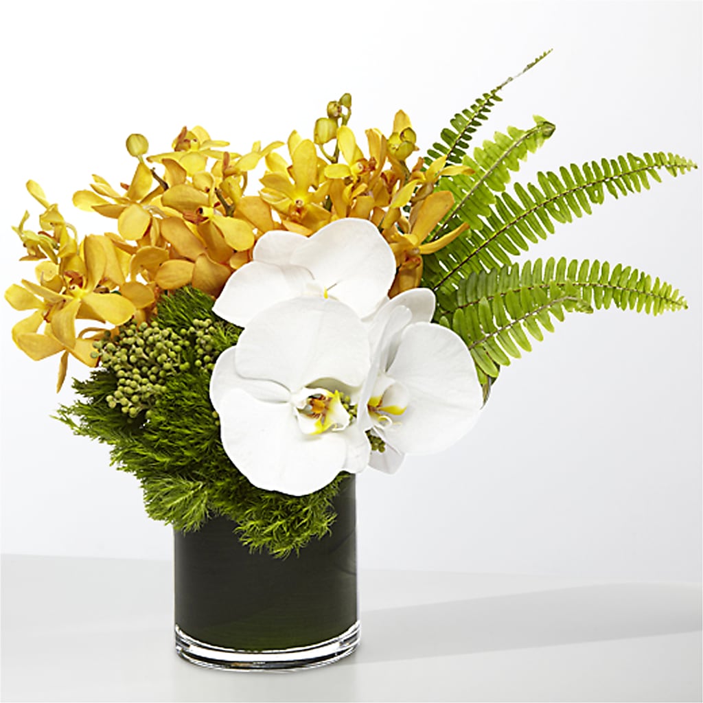 The Tropics –  Greater Oklahoma City Flower Shop, Oklahoma City OK