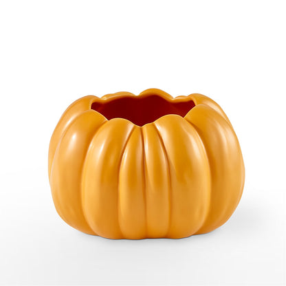 Pick of the Patch Pumpkin Bouquet –  Greater Oklahoma City Flower Shop, Oklahoma City OK