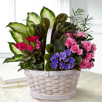 Peaceful Garden Planter –  Greater Oklahoma City Flower Shop, Oklahoma City OK