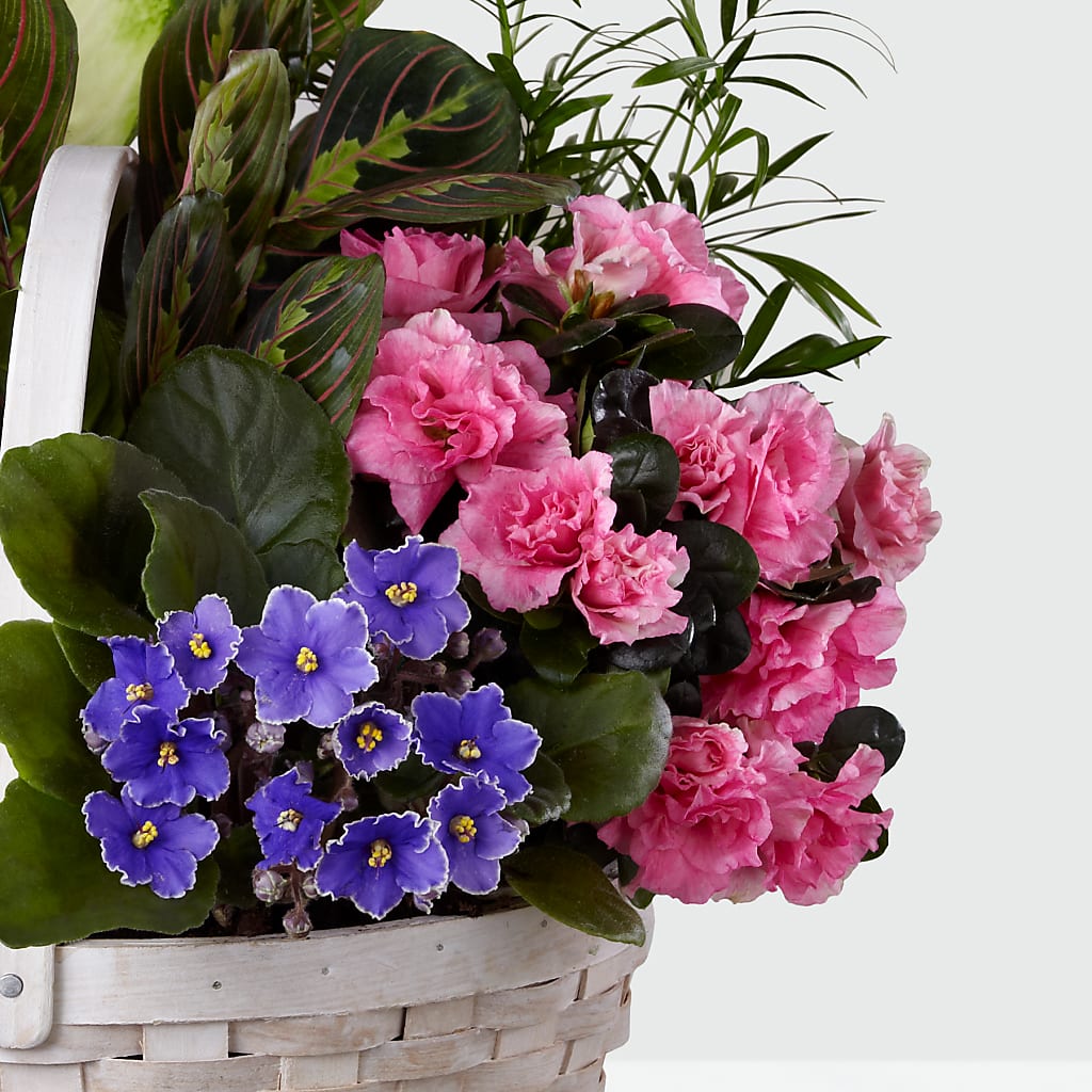 Peaceful Garden Planter –  Greater Oklahoma City Flower Shop, Oklahoma City OK