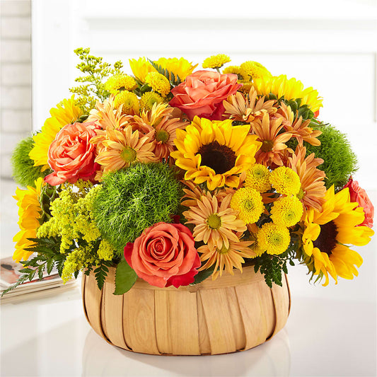 Harvest Sunflower Basket –  Greater Oklahoma City Flower Shop, Oklahoma City OK