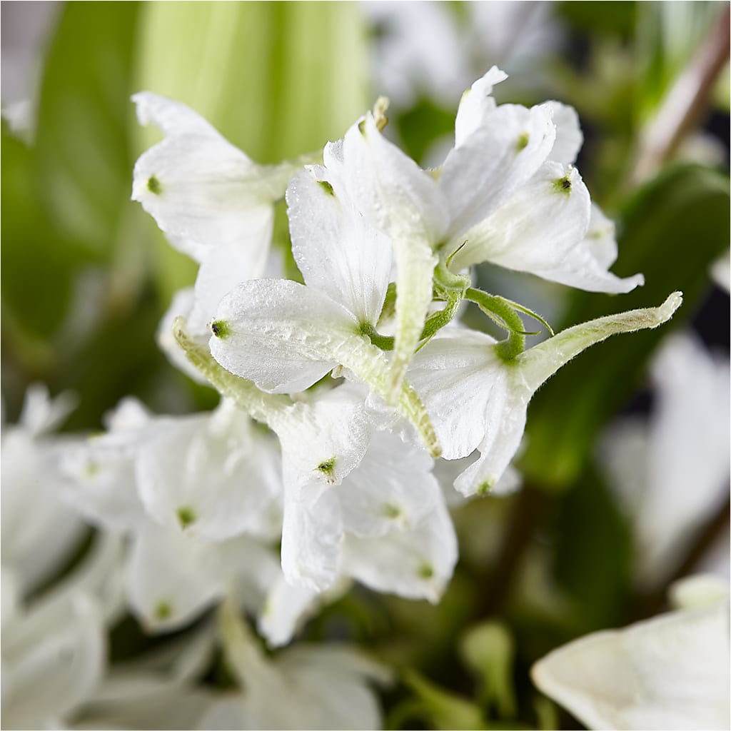 Classic Ivory – A Florist Original –  Greater Oklahoma City Flower Shop, Oklahoma City OK