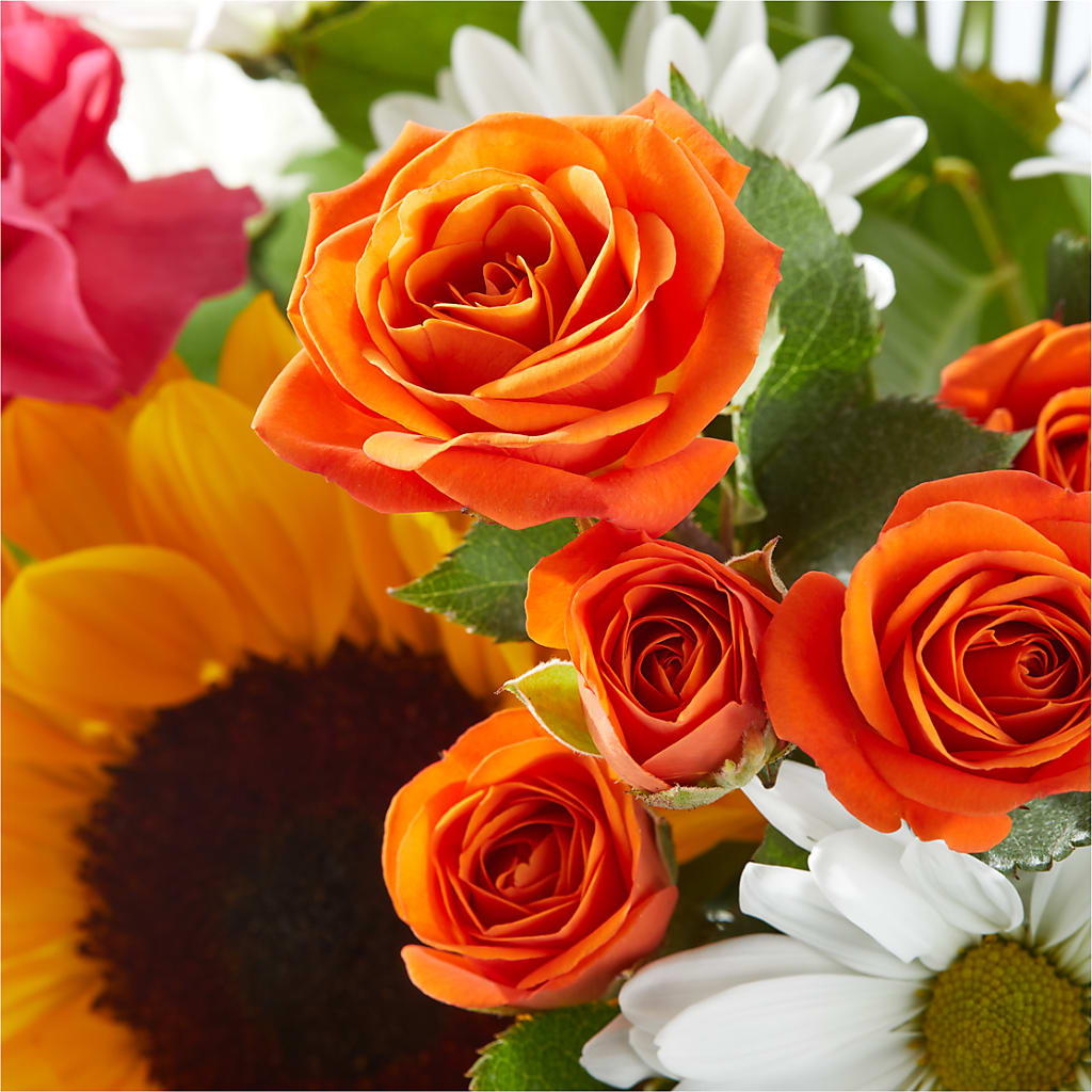 Sun-drenched Blooms Bouquet –  Greater Oklahoma City Flower Shop, Oklahoma City OK