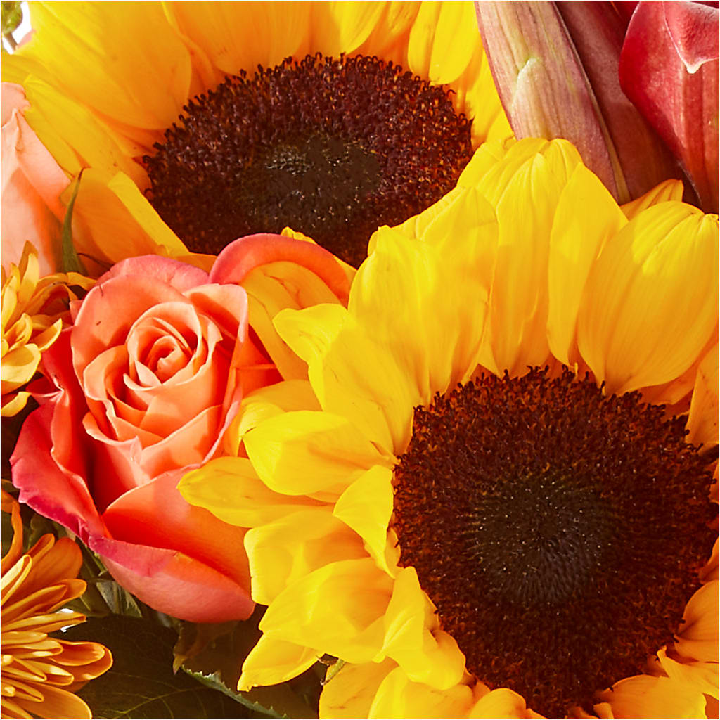 Acorn Lane Bouquet –  Greater Oklahoma City Flower Shop, Oklahoma City OK